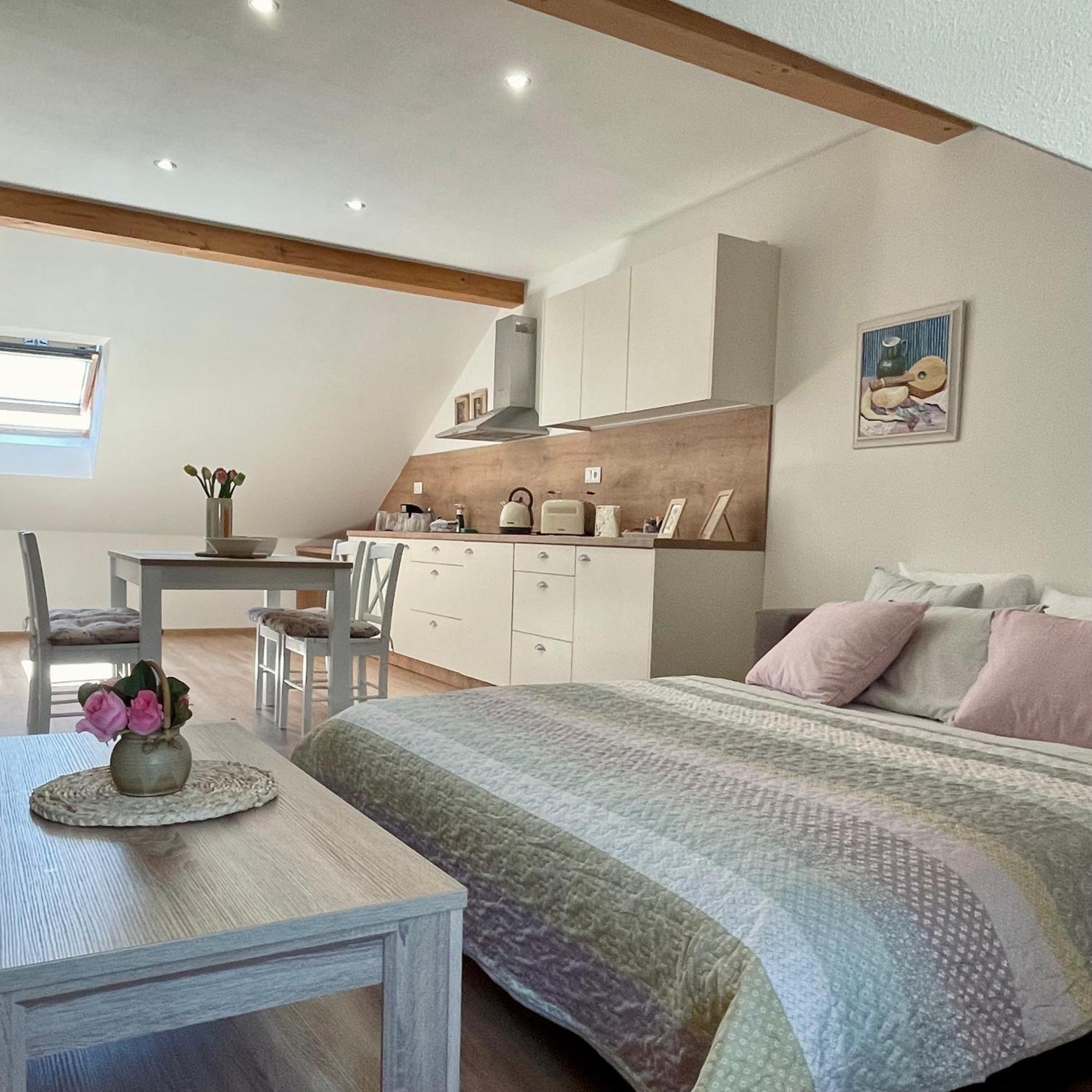 Apartmany Basta & Wellness Sušice Esterno foto